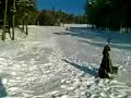 Crazy boy riding fast down a hill on a sledge