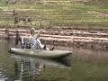 Bass on poppers from the kayaks