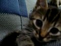 MOV02269[1]