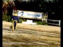 Apresenta��o Defesa Copa Gradual Hipica Florian�polis