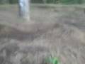 videos de MOV00002.3gp