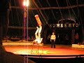 Cirkus HuMBERTO - vasek-01 Cirkus HuMBERTO - vasek-01