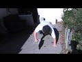 Backyard Conditioning Workout