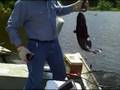 Jul 14 2008 - VID00037
