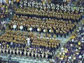 LSU Tiger Band Cupid Shuffle in Stadium 11.01.08 LSU Tiger Band Cupid Shuffle in Stadium 11.01.08