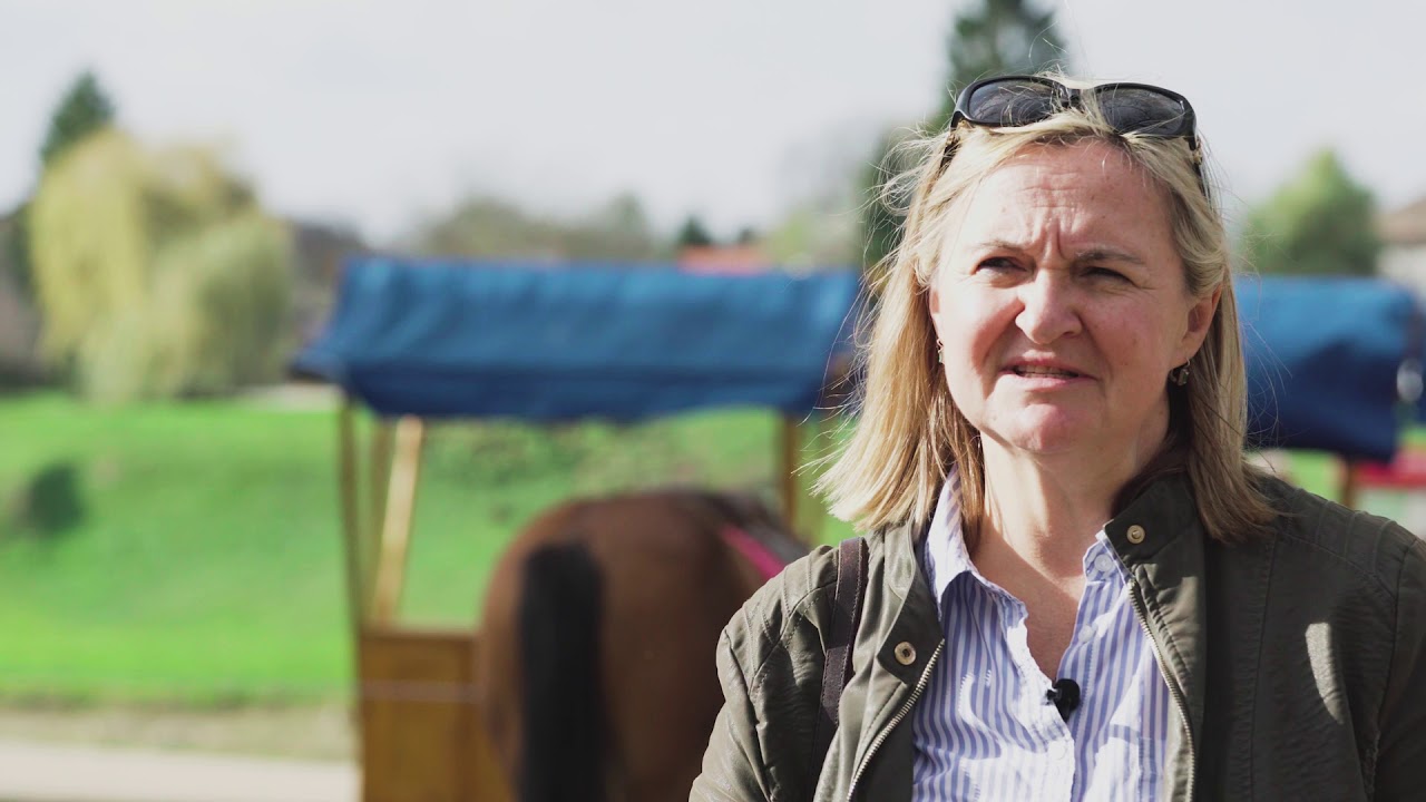 Bučijada - Planet film 2018