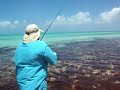 flyfishing eleuthera, bahamas bonefish part 1