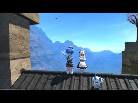 動画