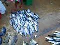 Hikkaduwa Fish Market 2