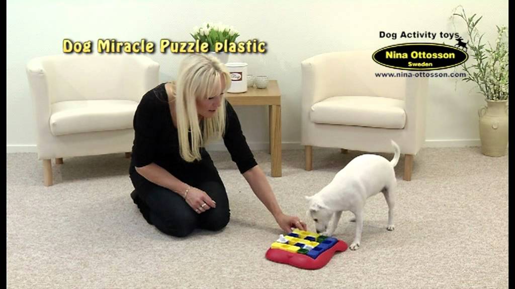 Dog Miracle Puzzle (kunststof)