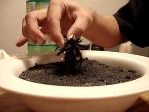Magnetite Black Sand and Neodymium