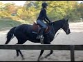 Camille sur Fredo la 4L :).