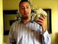 SHOCKING Legal WEED!! - YouTube
