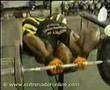 58. brazos-triceps-press-agarre-estrecho-+-press-frances-ez