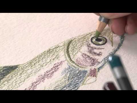 Derwent Graphitint Juniper-1