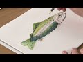 Derwent Graphitint Slate Green-1