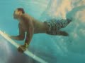 Sidi Kaouki - Maroc - Windsurf Movie Sidi Kaouki - Maroc - Windsurf Movie