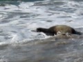 I liked a YouTube video -- BubbaNemoreleaseNov11.MOV http://youtu.be/GyHHfg3QmeE?a