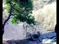 videos de Me and ma frnds........