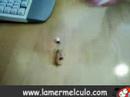 porro veloz