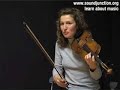 Plucking and bowing on the violin Plucking and bowing on the violin