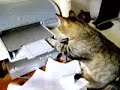 \"printer Problems\"