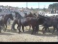 Curro no faro das Laceiras Curro no faro das Laceiras