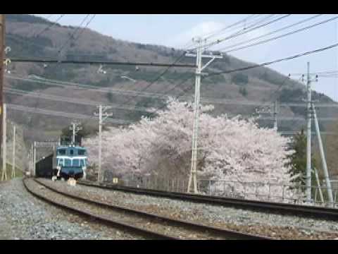 秩父鉄道　Spring 08