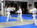 Jump Roundhouse and 360 back kick board break