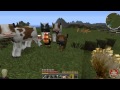 Let's Play Together Minecraft #98 - Geiler Tiersex und Eierhaufen