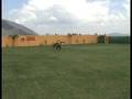 www.ferloz.com.mx congo pastor belga tervuren