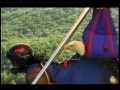 Osceola, the Hang Gliding Eagle (AEF)