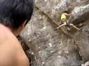 Hang ten 7c   (5B Productions)