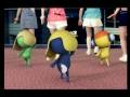 %5BCF%5D Wonder Girls - Keroro Fighter %5BCF%5D Wonder Girls - Keroro Fighter