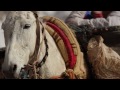 Mi è piaciuto un video di YouTube -- Salomon Freeski TV S4 E20 Morocco http://youtu.be/GyWX_CGVpJE?a
