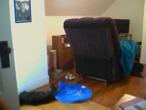 User submitted video