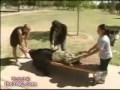 O-persoana-rupta-in-