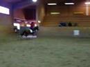 Fio och Cox Exellenta Shagne 24/3-08