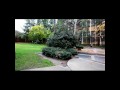 The Beauty of UCLA Campus