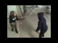 Cat Fight Cat Fight