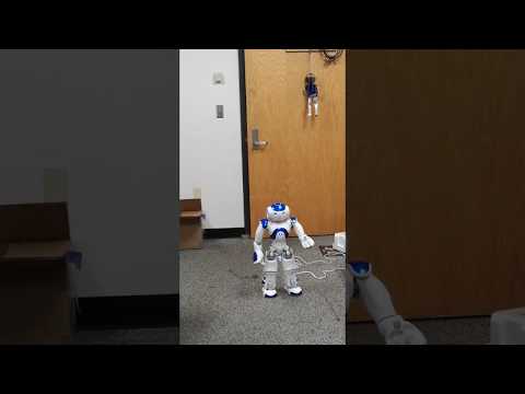  Nao robot demo 