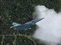 Flight Of The Squall