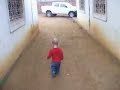chasing the chickens chasing the chickens