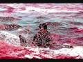 Dolphin and Whale Massacre in Europe
