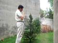 CRISTHMAS TREE