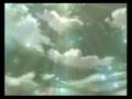 videos de FERD - Jill's 1st Promotion