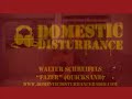 Domestic Disturbance Radio Presents: Walter Schreifels - Thumb #1