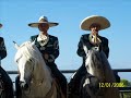 caballos espanoles
