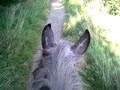 me n michael havin a little canter
