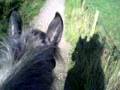 me n michael havin a little canter